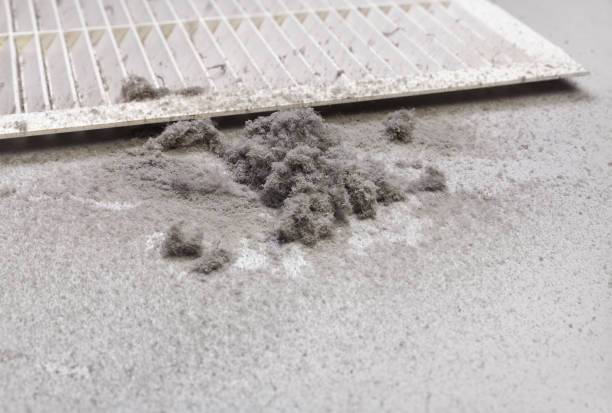 Best Air Vent Cleaning Services  in Priest River, ID