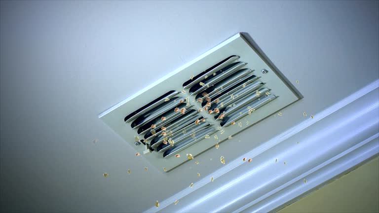 Best HVAC Maintenance and Cleaning  in Priest River, ID